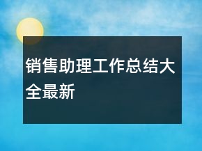 銷售助理工作總結(jié)大全最新