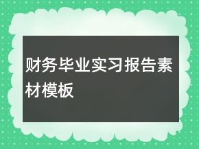 財務畢業(yè)實習報告素材模板