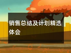 銷(xiāo)售總結(jié)及計(jì)劃精選體會(huì)