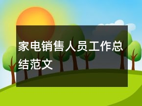 家電銷(xiāo)售人員工作總結(jié)范文