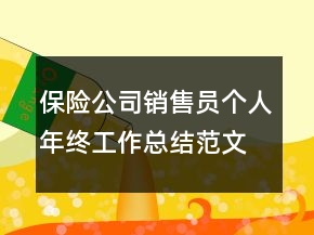 保險公司銷售員個人年終工作總結范文