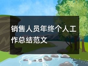 銷售人員年終個(gè)人工作總結(jié)范文
