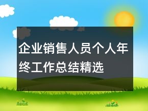 企業(yè)銷售人員個人年終工作總結(jié)精選