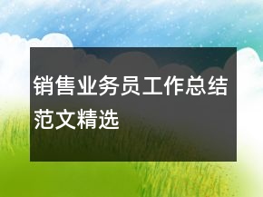 銷售業(yè)務(wù)員工作總結(jié)范文精選
