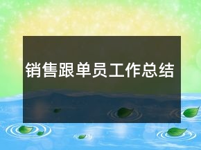 銷售跟單員工作總結