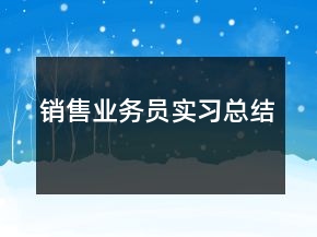 銷售業(yè)務(wù)員實(shí)習(xí)總結(jié)