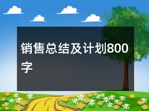 銷售總結(jié)及計劃800字