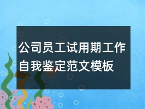 公司員工試用期工作自我鑒定范文模板