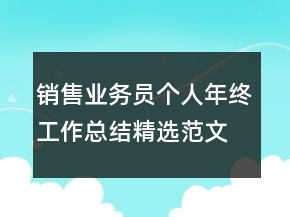 銷售業(yè)務(wù)員個人年終工作總結(jié)精選范文