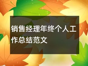 銷售經(jīng)理年終個(gè)人工作總結(jié)范文