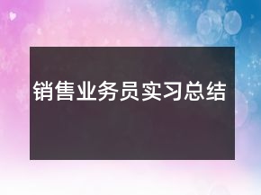 銷售業(yè)務(wù)員實習(xí)總結(jié)