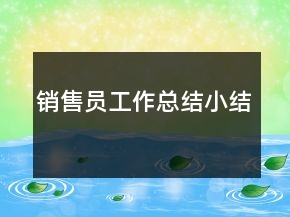 銷售員工作總結(jié)小結(jié)