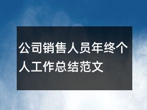 公司銷售人員年終個人工作總結(jié)范文