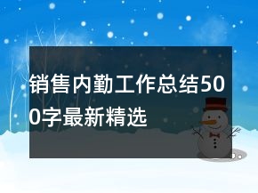 銷售內勤工作總結500字最新精選