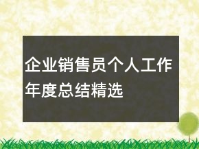 企業(yè)銷售員個人工作年度總結(jié)精選