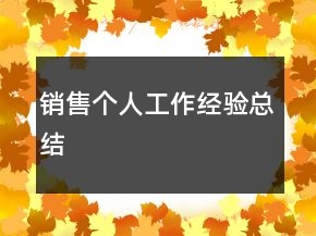 銷售個(gè)人工作經(jīng)驗(yàn)總結(jié)