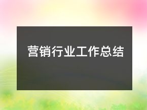 營(yíng)銷行業(yè)工作總結(jié)