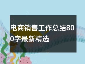 電商銷(xiāo)售工作總結(jié)800字最新精選