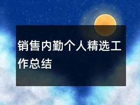 銷售內(nèi)勤個人精選工作總結(jié)