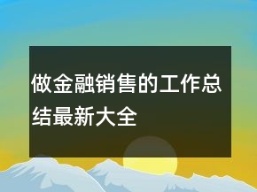 做金融銷售的工作總結最新大全