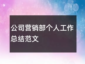 公司營(yíng)銷部個(gè)人工作總結(jié)范文