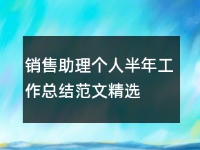 銷售助理個人半年工作總結(jié)范文精選