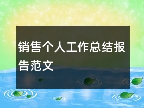 銷售個人工作總結(jié)報告范文