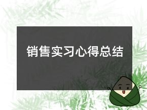 銷售實(shí)習(xí)心得總結(jié)