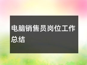 電腦銷(xiāo)售員崗位工作總結(jié)