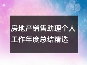 房地產(chǎn)銷售助理個(gè)人工作年度總結(jié)精選