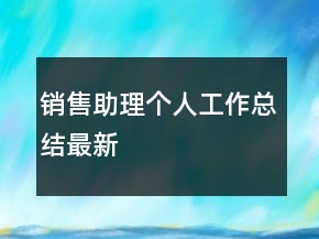 銷售助理個人工作總結(jié)最新
