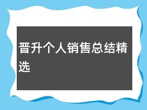 晉升個(gè)人銷售總結(jié)精選