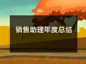銷(xiāo)售助理年度總結(jié)