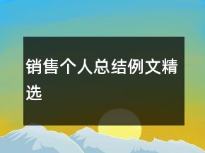 銷(xiāo)售個(gè)人總結(jié)例文精選