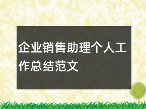企業(yè)銷售助理個(gè)人工作總結(jié)范文