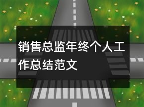 銷售總監(jiān)年終個(gè)人工作總結(jié)范文