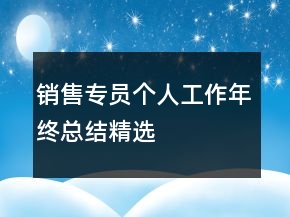 銷售專員個人工作年終總結(jié)精選
