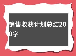 銷售收獲計劃總結(jié)200字