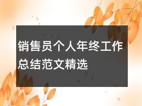 銷售員個人年終工作總結范文精選