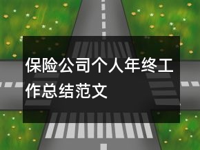 保險(xiǎn)公司個(gè)人年終工作總結(jié)范文