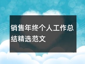 銷售年終個(gè)人工作總結(jié)精選范文