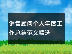 銷售顧問個(gè)人年度工作總結(jié)范文精選