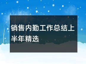 銷售內(nèi)勤工作總結(jié)上半年精選