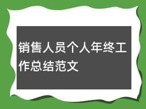 銷售人員個(gè)人年終工作總結(jié)范文