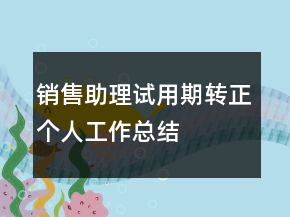 銷售助理試用期轉(zhuǎn)正個人工作總結(jié)