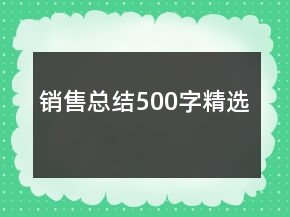 銷(xiāo)售總結(jié)500字精選
