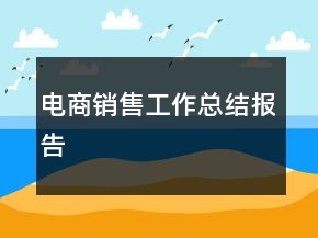 電商銷售工作總結(jié)報告