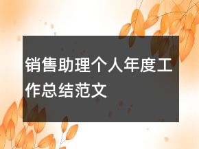 銷售助理個(gè)人年度工作總結(jié)范文