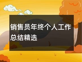 銷售員年終個人工作總結精選