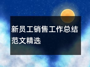 新員工銷售工作總結(jié)范文精選